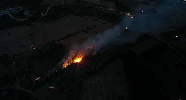 Kütahya'daki orman yangınında 6 hektar alan zarar gördü