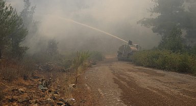 Lazkiye'deki orman yangınları kontrol altına alınmaya başladı
