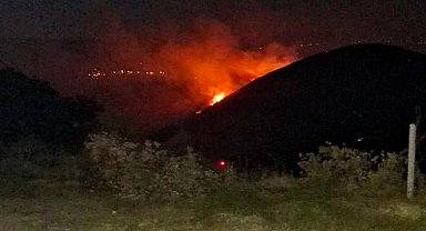 Manisa Sarıgöl'de çıkan Uşak'a ulaşan yangın 10,5 saatte kontrol altına alındı