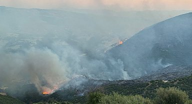 Manisa Sarıgöl'de çıkan yangın Uşak'a ulaştı; bazı evler tahliye edildi