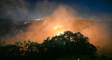 Manisa Sarıgöl'de çıkan yangın Uşak'a ulaştı; bazı evler tahliye edildi