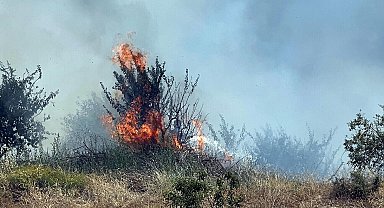 Manisa Turgutlu'da çıkan orman yangını, 2,5 saatte kontrol altına alındı