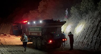 Manisa'da orman yangını büyümeden söndürüldü