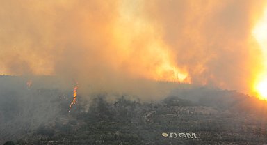 Manisa'da orman yangını