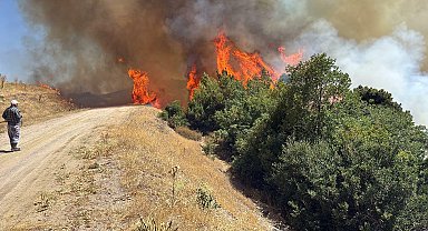 Manisa'da tarım arazisinde yangın