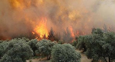 Manisa'daki orman yangını 20 saat sonra kontrol altında