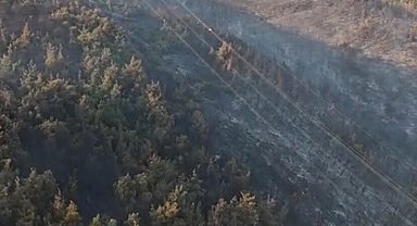 Manisa'daki orman yangını 2'nci gününde