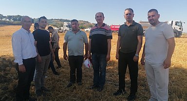 Manyas'ta orman yangını