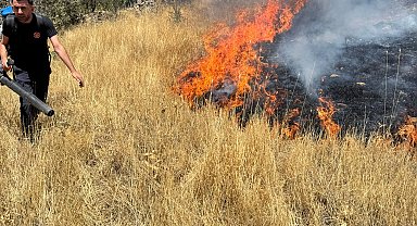 Mardin'de örtü yangını, 3 saatte kontrol altına alındı Video eklendi