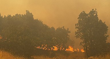 Mardin'de örtü yangını, 3 saatte söndürüldü