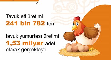 Mayısta yumurta üretimi azaldı, tavuk eti ve içme sütü üretimi arttı