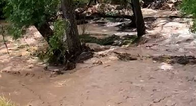 Mersin'de sağanak, sel ve taşkına yol açtı