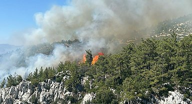 Milas'ta orman yangını