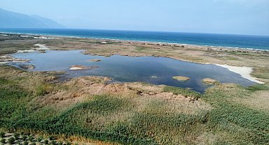 Milleyha Kuş Cenneti yeniden su tuttu, kuşlar geri dönmeye başladı