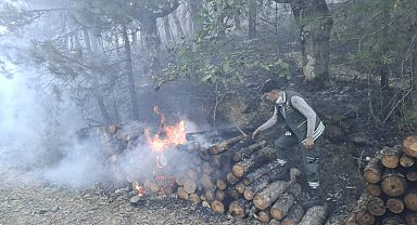 Motorlu testerenin egzozundan sıçrayan kıvılcım ormanı yakmış: 1 tutuklama
