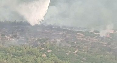 Muğla'da orman yangını