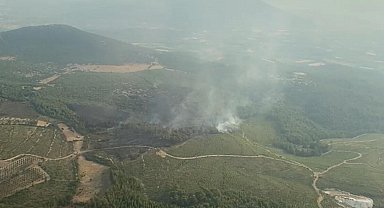 Muğla'da orman yangını