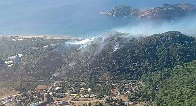 Muğla'da orman yangını