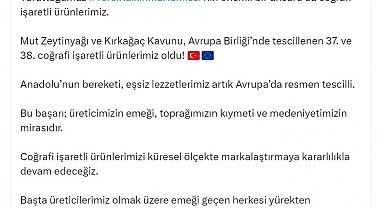 Mut zeytinyağı ve Kırkağaç kavunu AB'de tescillendi