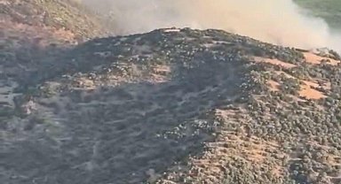 Nazilli'deki maki yangınına ilişkin 1 kişiye gözaltı