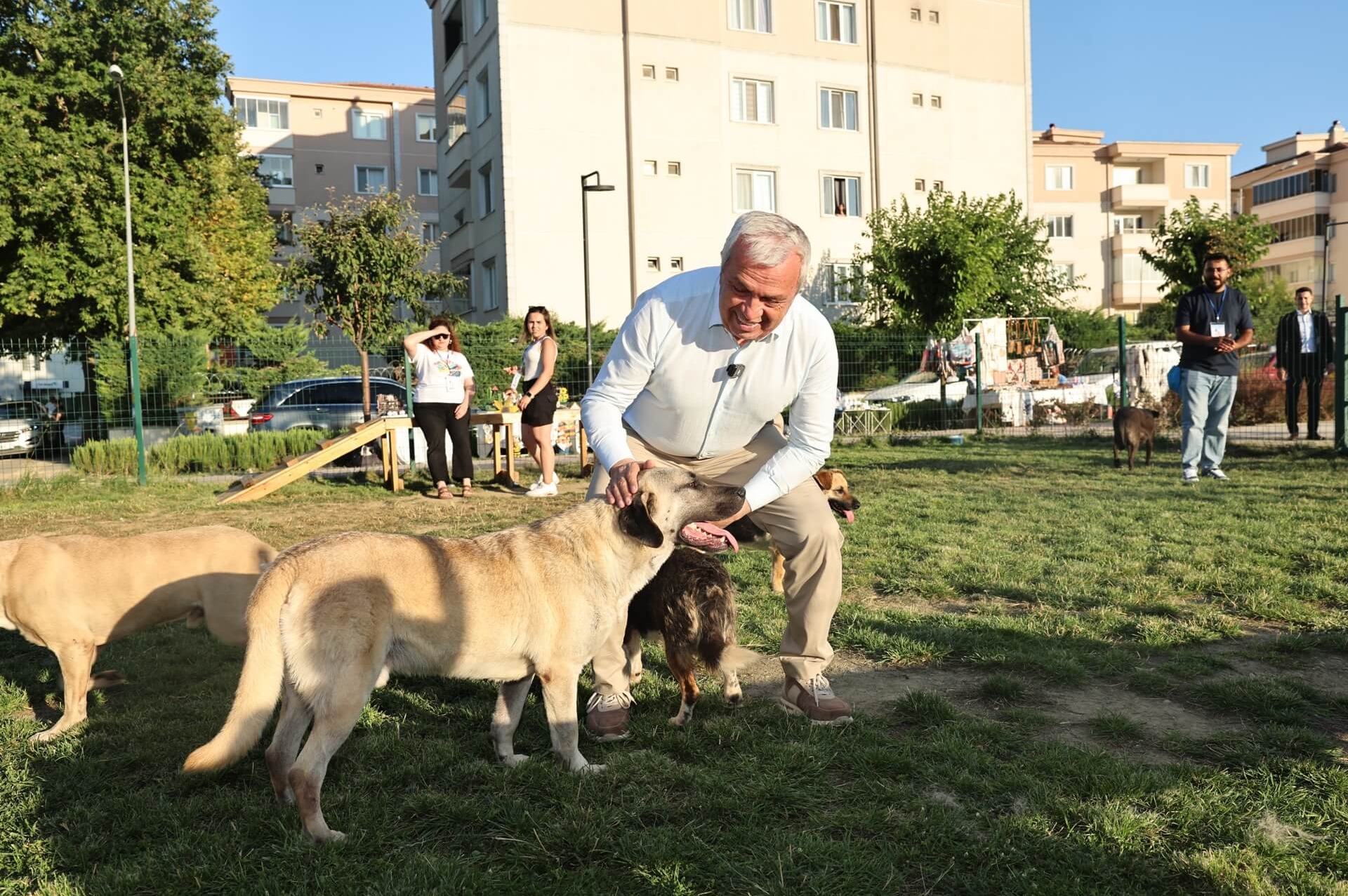 Nilüfer’de can dostlar yeni yuvalarına kavuştu