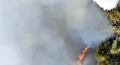 Ödemiş'teki orman yangını 2'nci gününde