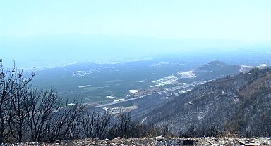 Orman yangınları sonrası solunum şikayetiyle hastanelere başvuruda yüzde 30 artış oldu