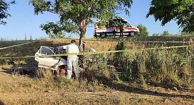 Otomobil, ağaca çarptı: 1 ölü, 2 yaralı