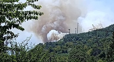 Sakarya Geyve'de yeni orman yangını