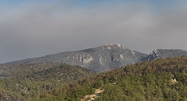 Sakarya Geyve'deki orman yangını 4'üncü günde kısmen kontrol altında