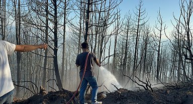 Sakarya Hendek'teki yangın kontrol altında