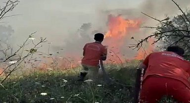 Sakarya'da ağaçlık alanda yangın