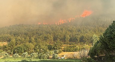 Sakarya'da orman yangını; alevler rüzgarın etkisiyle yayılıyor