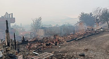 Sakarya'da orman yangını: Taşoluk Mahallesinde 3 ev kül oldu