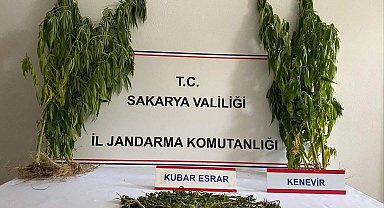 Sakarya'da uyuşturucuya 1 tutuklama