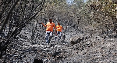 Sakarya'da yangınlardan etkilenen can dostlar için seferberlik