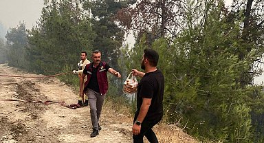 Sakarya'daki orman yangını 2'nci gününde