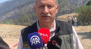 Sakarya'daki orman yangını 2'nci gününde