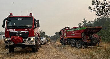 Sakarya'daki orman yangını 3'üncü gününde