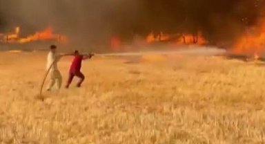 Sakarya'daki orman yangını 3'üncü gününde