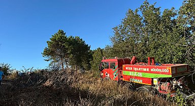 Sakarya'nın Adapazarı ve Hendek ilçesinde orman yangını çıktı