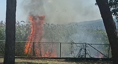 Sapanca Gölü kıyısındaki sazlıkta çıkan yangın söndürüldü