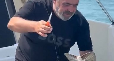 Saros'ta nadir görülen kırlangıç balığı oltaya takıldı