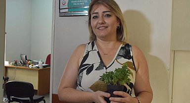 Sigarayı bırakan 25 yıllık tiryaki, kül tablasını saksıya dönüştürdü