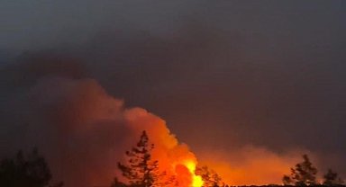 Silifke'de orman yangını