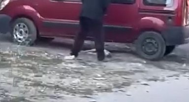 Sivas'ta yavru köpeğe sopayla şiddete para cezası