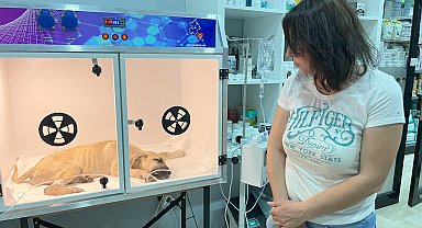 Sopayla dövülen yavru köpeğin hayati riski var