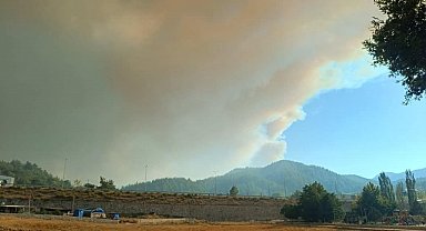 Suriye'deki orman yangını, yeniden sınıra yaklaştı
