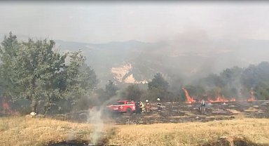 Tarım arazisinde çıkan yangın 3 saatte kontrol altına alındı