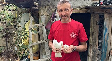 Tavuk yumurtasının üzerine kuluçkaya yatan güvercin, çıkan civcivi sahiplendi